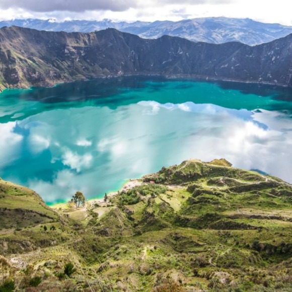 Meet your Posher, L - Picture 1 of 1